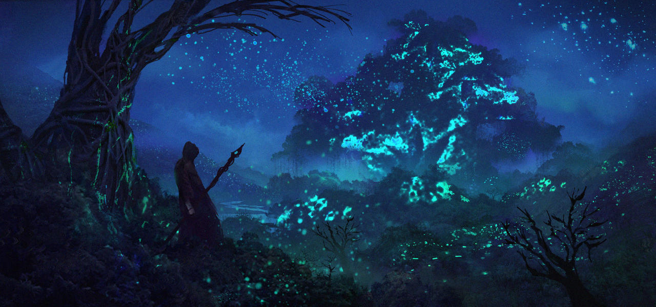 The Glass Forest