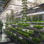 Hydroponics