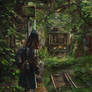 Last Train