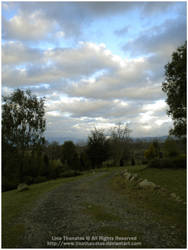 A Road Down to the Clouds