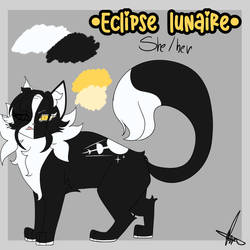 Eclipse lunaire