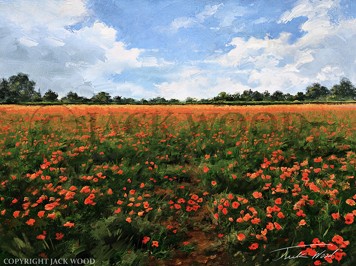 Poppy Field