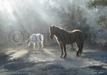 Horses in Winter