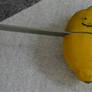 Die Lemon