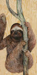 'Sloth' by skeegoedhart