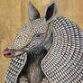 Armadillo