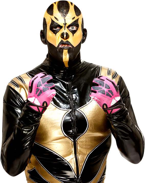 Goldust Body Goldust 11-3-13 PNG by AmbriegnsAsylum16 on DeviantArt