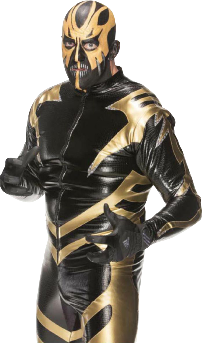 Goldust Body Goldust 2013 PNG 2 by AmbriegnsAsylum16 on DeviantArt
