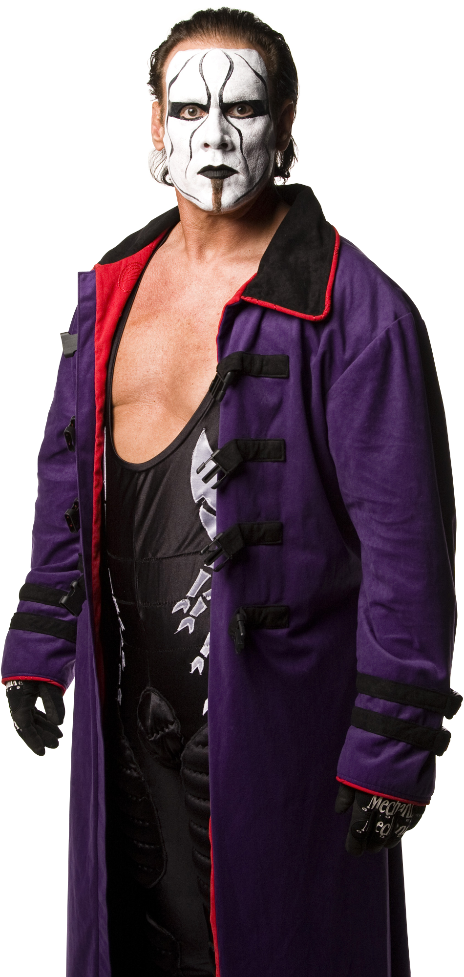 Sting TNA PNG 4 by AmbriegnsAsylum16 on DeviantArt