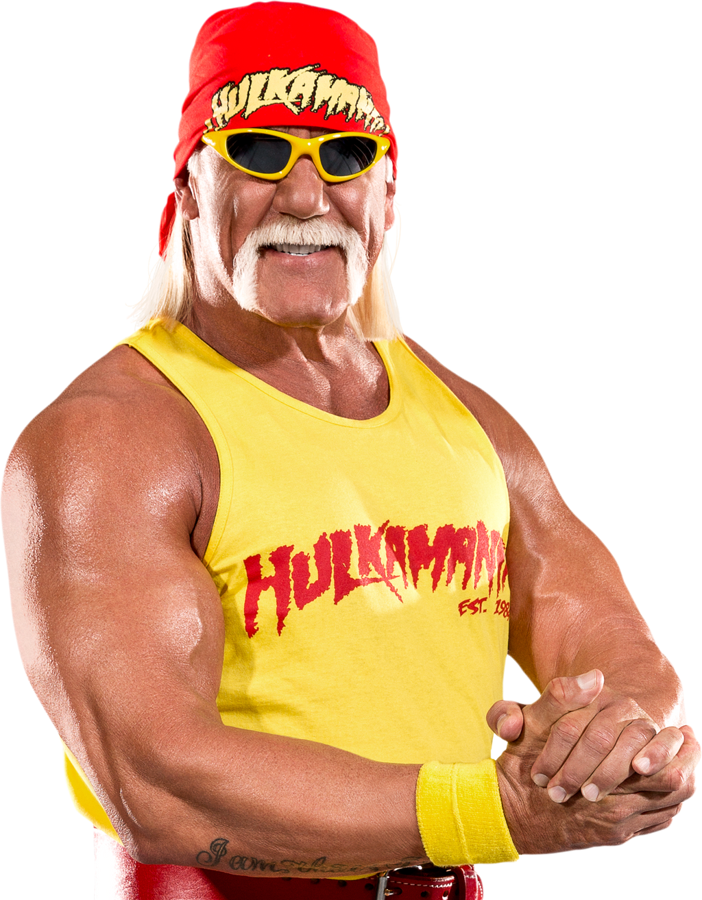 Hulk Hogan PNG 5 by AmbriegnsAsylum16 on DeviantArt