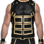 Seth Rollins WrestleMania 35 Attire Render