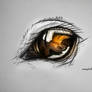 Horse eye - Drawing