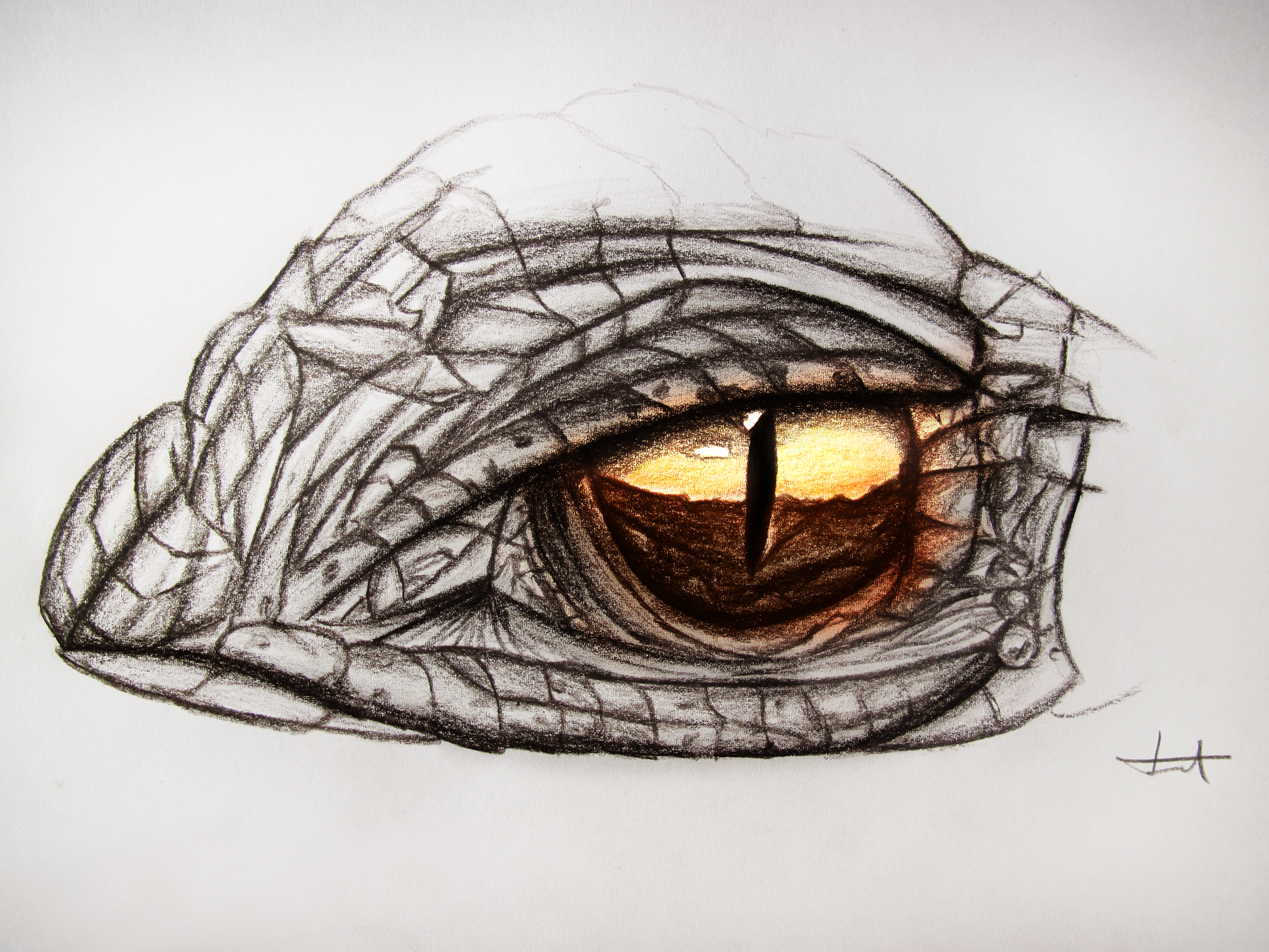 Dragon eye - Drawing