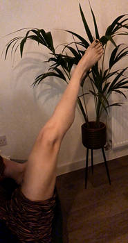 Stretches after leg day x