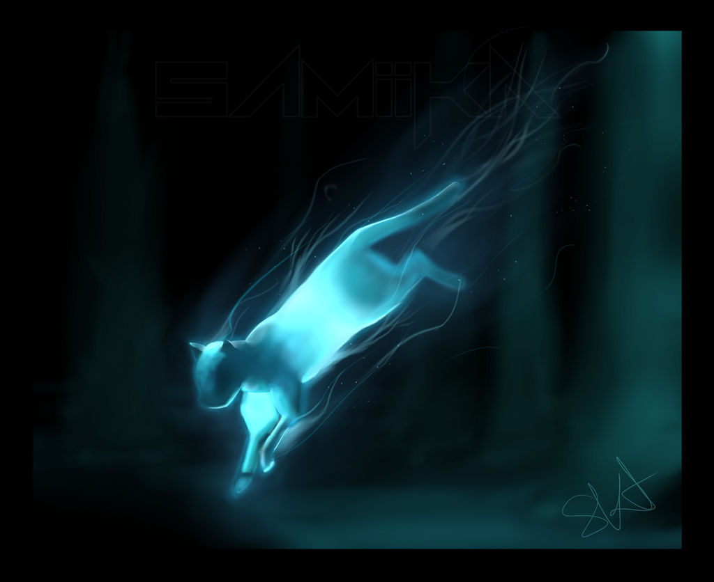 Patronus - Tonkinese Cat