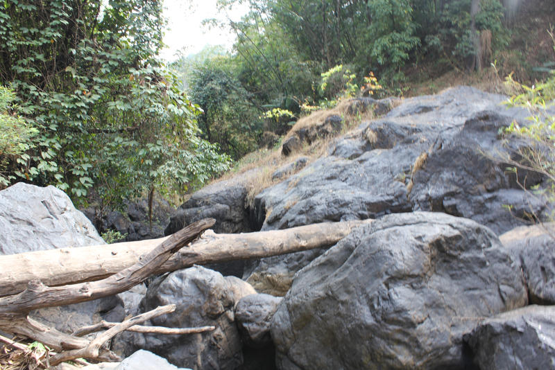 Log Bridge to Rocky Place