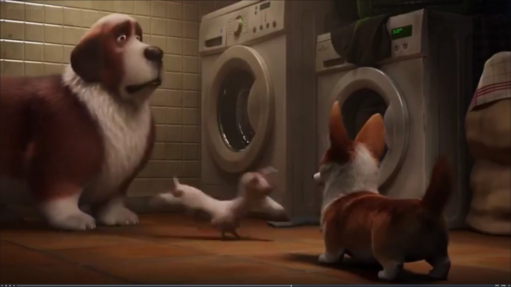 Queens corgi deals online