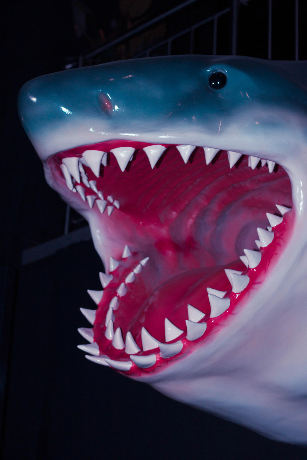 fake shark by barisgunaydin on DeviantArt