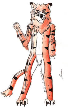 Tiger Costume TF 3