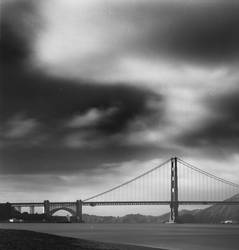 Crissy Field