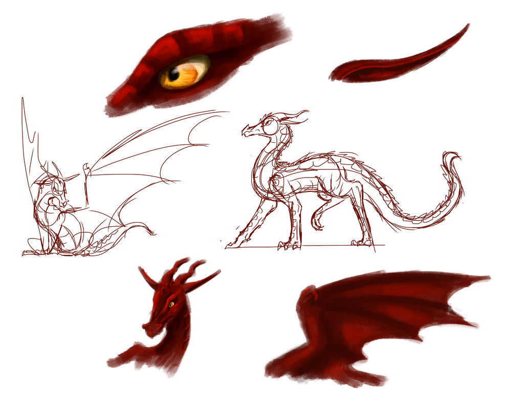 Skywing Reference SkyWing Style Study by Karetyto on DeviantArt