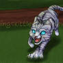 jayfeather