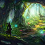 The Fairy Forest