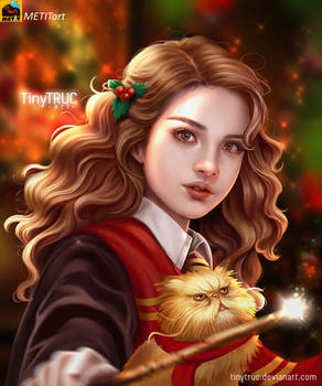 Hermione Granger fan art from Harry Potter