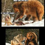 Wolf vs. Bear Meme