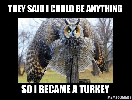 The Owl Turkey Meme