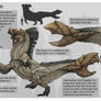 Vatteruphi Creature Sheet