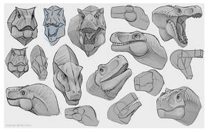 Theropod Head Sketches