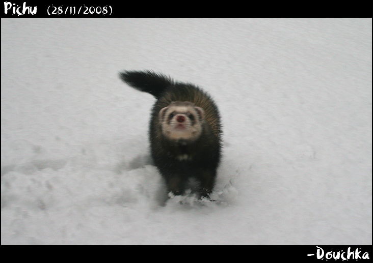 Danse dans la neige