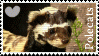 d33mxp3-009a6598-21e3-4c3a-87ed-f4878a0f