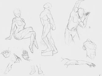 Anatomy Practice