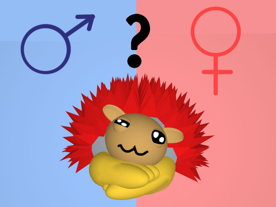 Female Roo Logo Roo's Gender? by TheProphet191 on DeviantArt