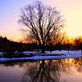 A walk along the river