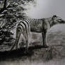 'Thylacine' Inktober challenge Day 12