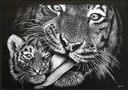 'Precious' Scratch-board Drawing