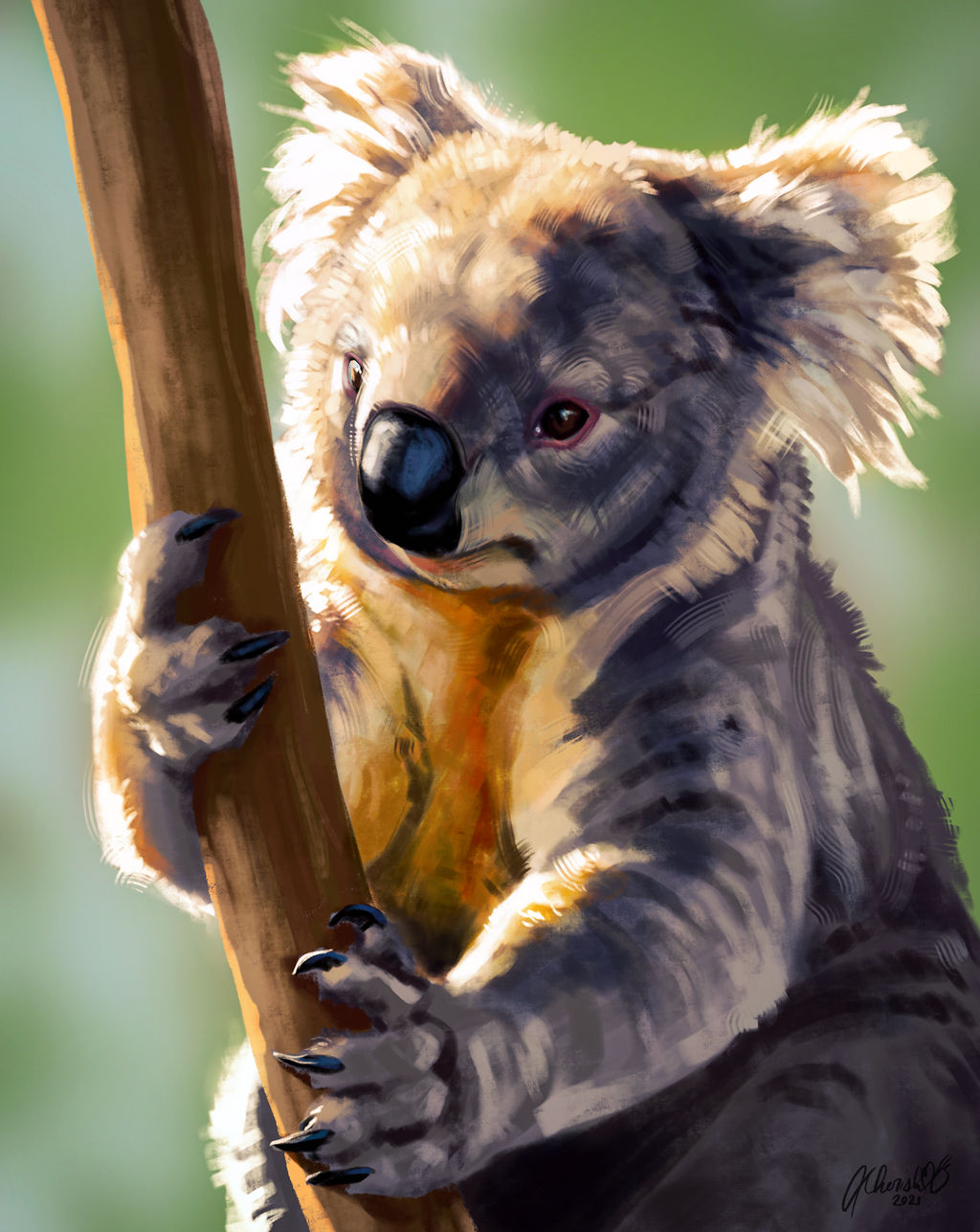 Koala by CherishLoveArt on DeviantArt