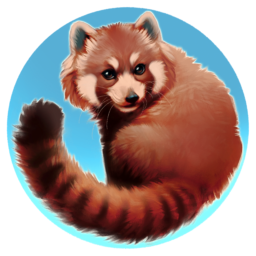 Red panda on branch /Roter Panda auf Ast by JF-Artistry on DeviantArt