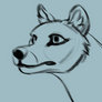 Thylacine Sneeze (animation)