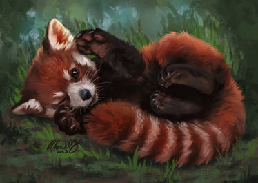 Red Panda Day 2023