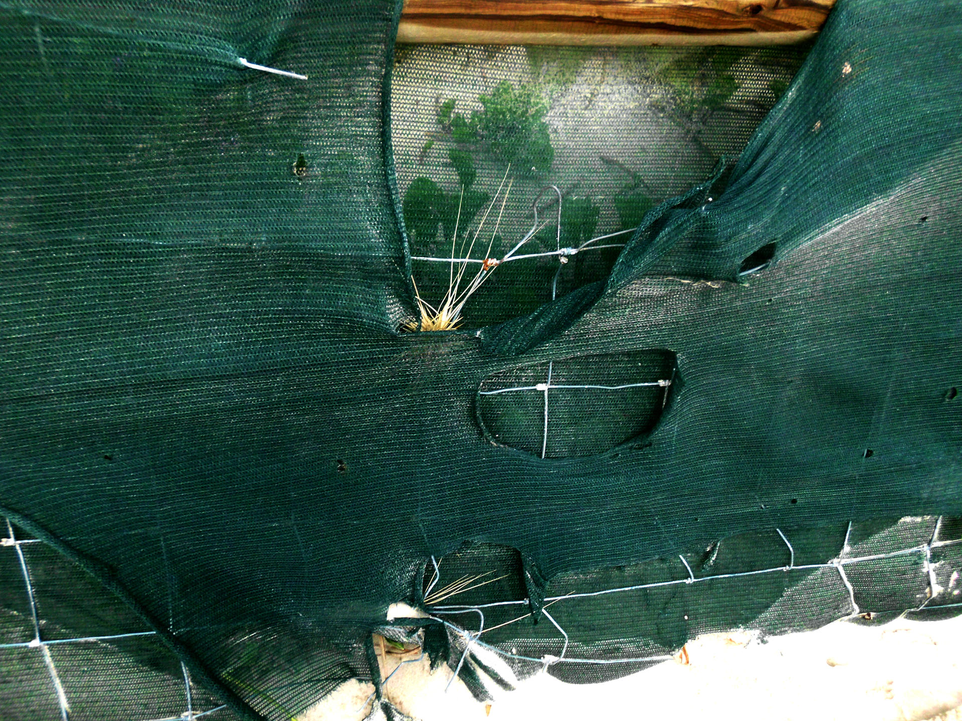 Restraints by fleetofgypsies on DeviantArt