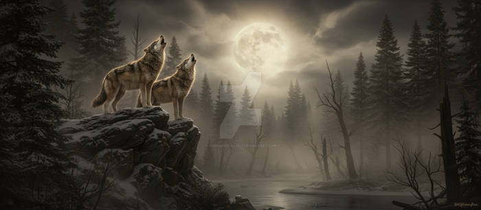 Wolfs of the Night