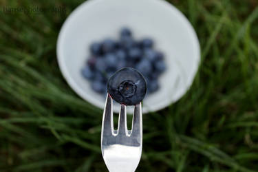 Blueberries! *_*