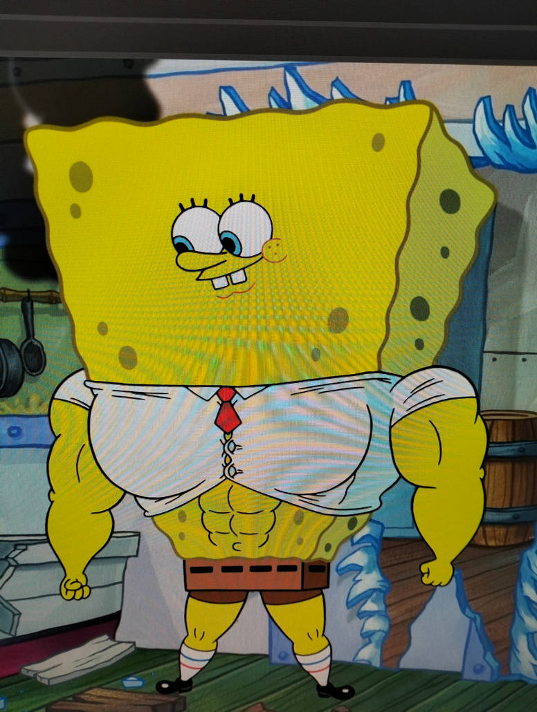 Muscle SpongeBob by zsrdfgtt on DeviantArt