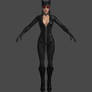 Catwoman T pose from the front