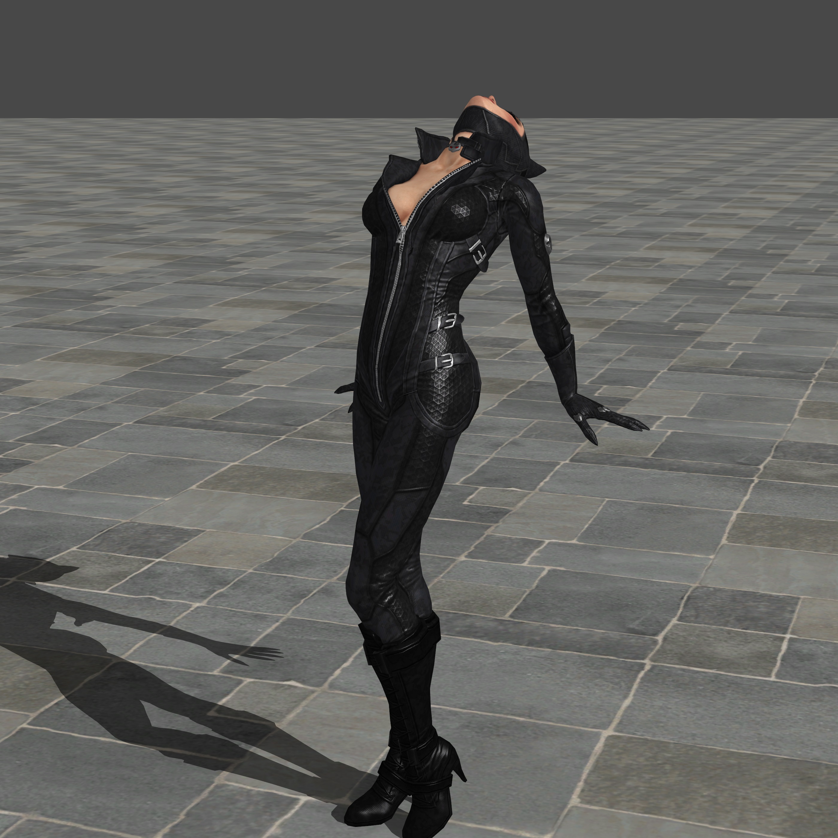 Catwoman Full Body Pose 04 By Subzero91 On Deviantart