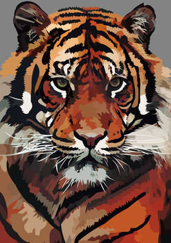 Sumatran tiger  vector - wild life version